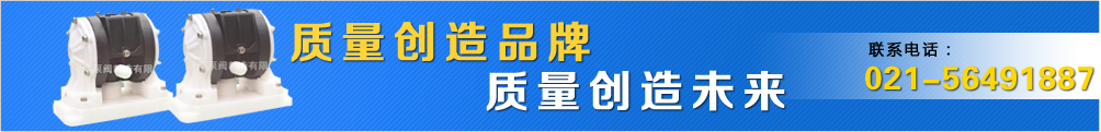 氣動隔膜泵,工程塑料隔膜泵,漿料泵,塑料氣動隔膜泵,上海隔膜泵廠家,進口氣動隔膜泵,不銹鋼氣動隔膜泵,雙隔氣動隔膜泵,粉末泵,氣動雙隔膜泵